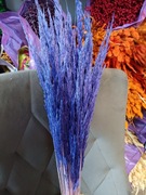 Trawa leśna granat fiolet trzcinnik zboże susz naturalne trawy na palmy 