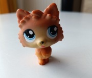Littlest pet shop LPS 