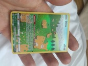 Karta Pokémon Ditto GG22/GG70 Crown Zenith | Galarian Gallery