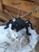 Filcowana wełniana broszka z pająkiem – idealna na Halloween     