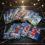 Karty Adrenalyn XL Uefa Champions League Panini 2013 2014 prezent kibica