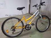 Rower Junior Grand, rama 14