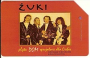 nr 248 - Żuki - grupa muzyczna