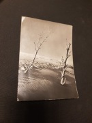 Łeba wydmy pocztówka karta pocztowa nr 484