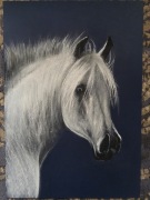 Portret konia. Suche pastele 50x70 cm