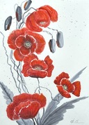 Makowe szczęście 30*42cm. Original Akwarela