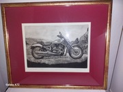 Grafika Harley Davidson V-Rod