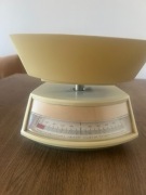 Waga Kuchenna Spręzynowa TYP WK-2