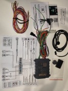 Immobilizer Tytan DS700 B1