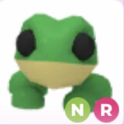 Frog NR - Adopt Me Roblox