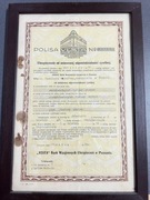 Stara zabytkowa polisa