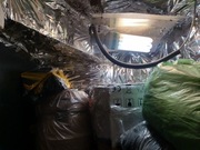 Lampa cfl elektroks dual 125w  odbłyśnik łańcuchy przewód czujnik 