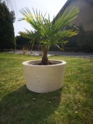 Donica z betonu architektonicznego 