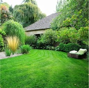 Nawóz do Siewu Trawy Sadzonek Tui Iglaków Traw Kwiatów 10kg ORO Start 300m2