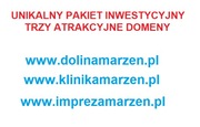 Pakiet Inwestycyjny - trzy super domeny. Promo cena.