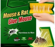 Lepiej na myszy gryzonie 1szt