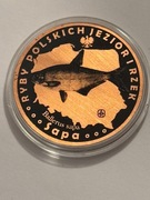 Ryba sapa. Miedź fi 32 mm. 2013 Gyges