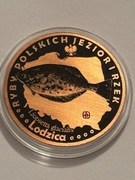 Ryba lodzica. Miedź fi 32 mm. 2013 Gyges