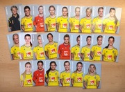 Zestaw 24 oficjalnych kart reprezentacji Szwecji kobiet