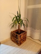 Donica, drewno opalone, LOFT