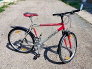 Rower Author Profile SX