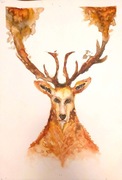Obraz jelenia