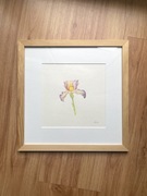 Oryginalna akwarela z kolorowym kwiatem