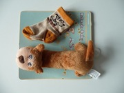 Zestaw skarpetki niemowlęce 0-12 m z grzechotką