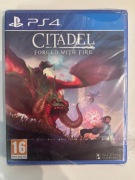 Citadel: Forged With Fire PS4 – PlayStation 4