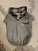 Ubranie dla niedużego psa