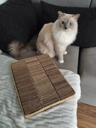 Drapak dla kota z kartonu 30x39cm