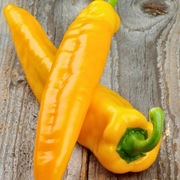 Papryka Corno di TORO giallo - Nasiona Holenderskie