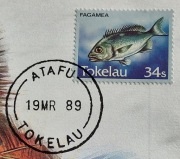 TOKELAU 1989 znaczek + koperta 12,6cm x 17,6cm