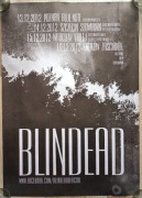 Plakat BLINDEAD trasa koncertowa 2012