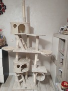 Drapak dla Kota Lionto 230-250 cm