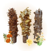 Paluchy kwiatowe - ciasteczka dla koni