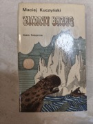 Zimny brzeg - Maciej Kuczyński