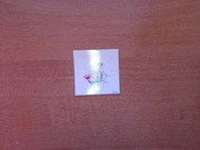 Naklejka Nestle Gdzie jest Nemo Panini Modena Disney Pixar