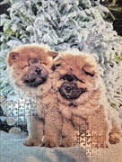 Puzzle castorland 500 pieski 