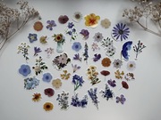 Naklejki kwiaty scrapbooking bullet junk journal floral stickers
