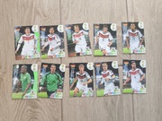 Karty mistrzostwa świata mundial panini 2014 fifa wc