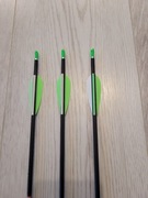 Sprzedam strzały karbonowe SKYLON NOVICE ID4.2 w spinie 1000