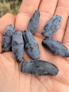 Jagoda kamczacka – Lonicera