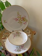 Weimar śliczne trio 