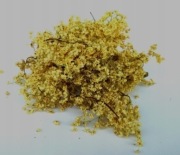 Czarny bez kwiat suszony z Bieszczad 50g