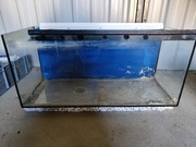 Akwarium 100x40x45 - Okazja, Juvel, Eheim, Aquael