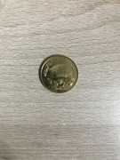 Jeż - zwierzęta świata