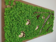 Obraz w drewnianej ramie 165x66 cm mech chrobotek