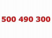 Złoty numer ____ 500 490 300 ____ Platynowy - ViP