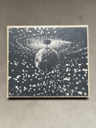 Neil Young & Pearl Jam - Mirror ball, HDCD